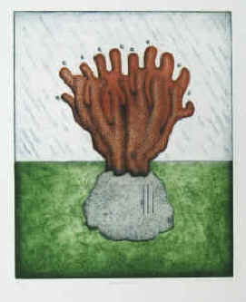 artist Thomas Tighe O'Donohue, born 1942. Color etching Monsoon, coral, numbered and signed.