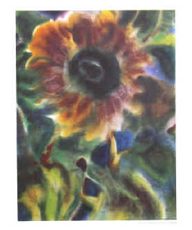 Lothar Malskat - Sonnenblume / Sunflower / Soleil des jardins / Zonnebloem. Color Poster.