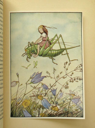 Wenz-Vietor. Illustration zu Fahrt ins Blumenland. Erstausgabe 1929.