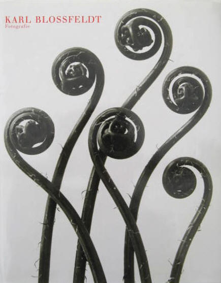 Karl Blossfeldt Fotografie. Jürgen Wilde, Cantz 1998.