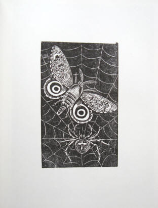 Künstler Gerhard Marcks: Spinne und Schmetterling. Original Holzschnitt von 1972.