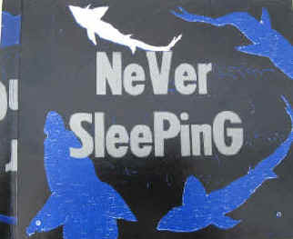 Ingo Cesaro - Never Sleeping - Niemals Schlafen. Bludenz, Freipresse.