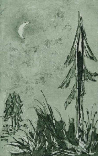 Heinrich Heine song - Ein Fichtenbaum steht einsam - Music by Hans Pfitzner -  etching by Elke Rehder