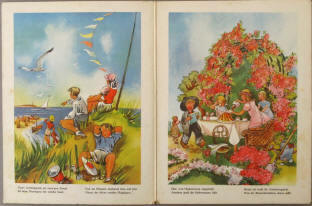 Kinderbuch Illustrator Koli Kolnberger Bilderbuch Sommerblumen.