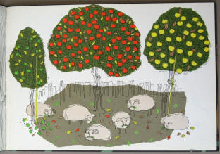 Schafe und drei Apfelbäume, Illustration von Gerhard Oberländer, Büchergilde 1958.