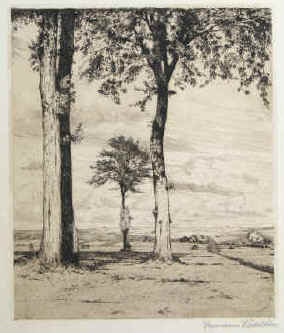 Hermann Kätelhön - Ohne Titel (weite Landschaft mit Baumgruppe). Handsignierte Original-Radierung von Hermann Kätelhön signiert.