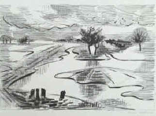 Künstlerin Irma Weiland - Überschwemmte Wiesen. Lithographie signiert 1951.