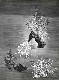 artist Yannick Ballif - untitled  Aquatint Etching with Carborundum Le Jardin Japonese, Japanese Garden numbered signed