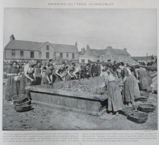 Herring gutters in Stornoway the capital of the Western Isles of Scotland.