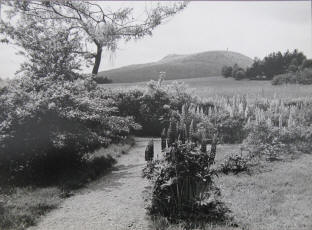 Luftkurort Lückendorf. Blick vom Kurpark zum Hochwald 1973.