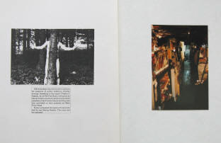Carlo Pittore & Mark Melnicove copy-art and color-photography from 1983.